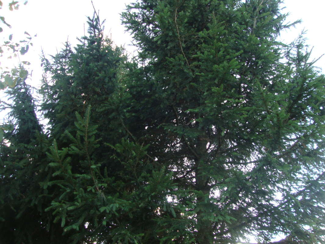 ... ����� �������� ��� �� PhotoGeek.ru #������ ��� ������� #����� ��������������