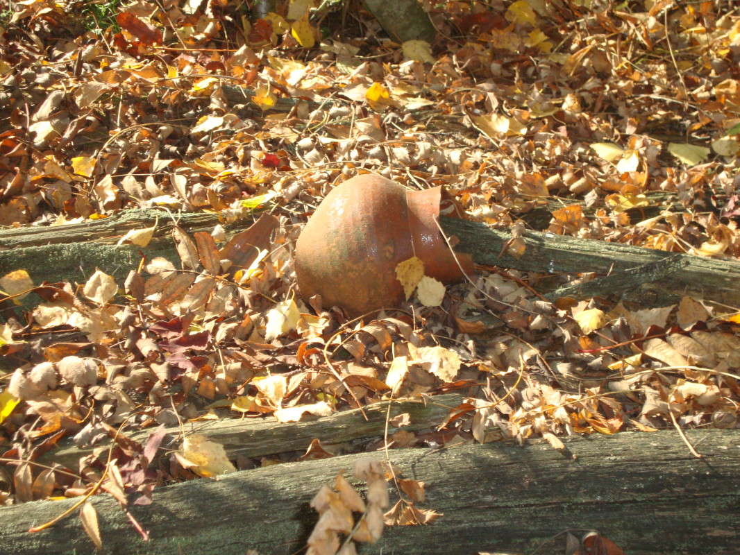 ... ����� �������� ��� �� PhotoGeek.ru #������ ��� ������� #����� ��������������