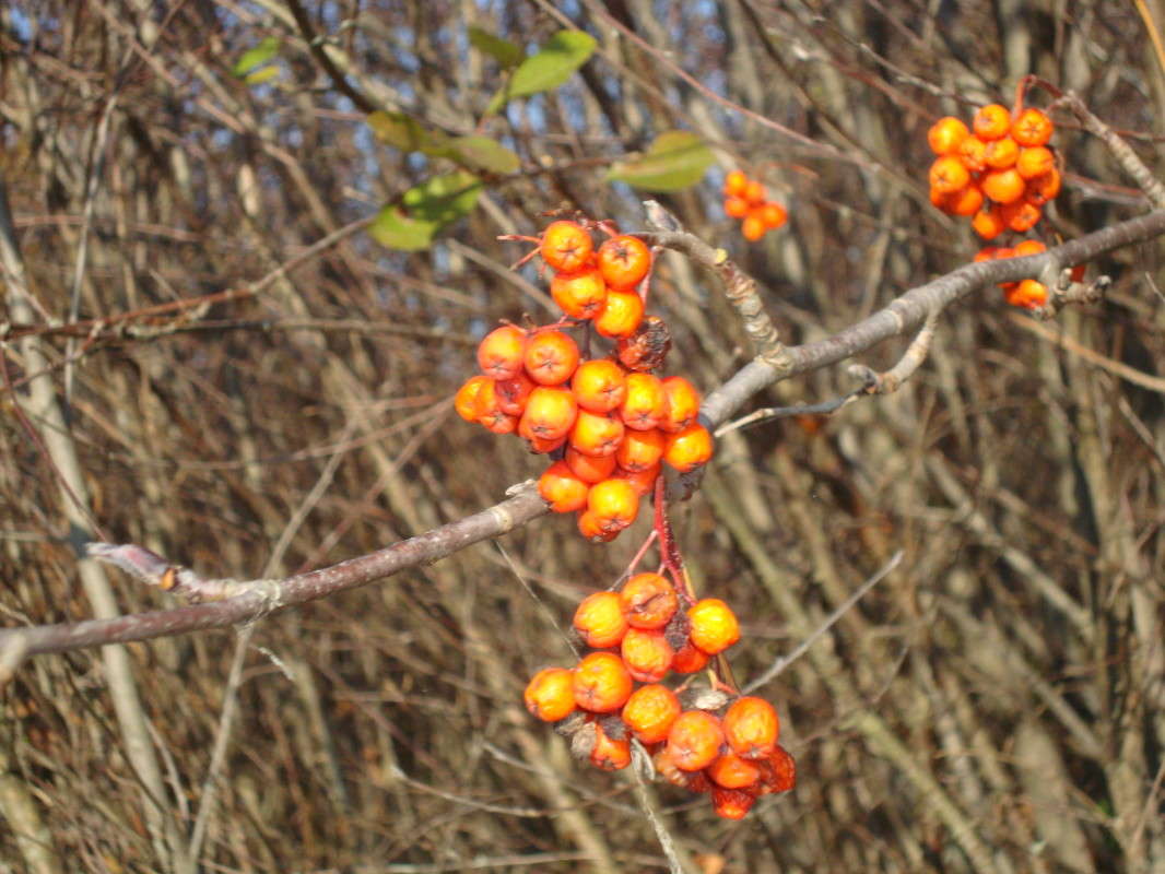 ... ����� �������� ��� �� PhotoGeek.ru #������ ��� �������