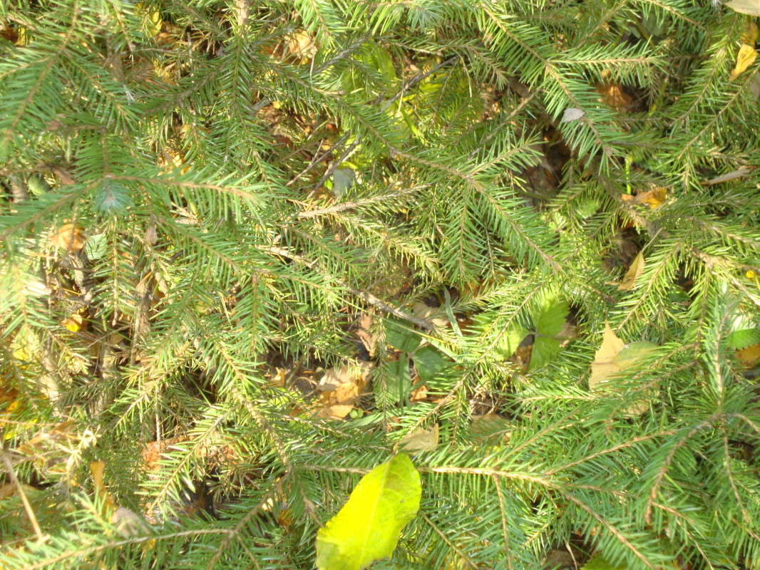 ... ����� �������� ��� �� PhotoGeek.ru #������ ��� �������