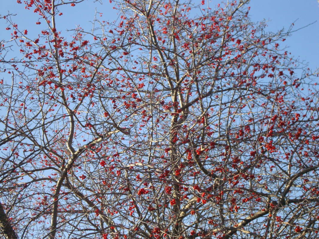 ... ����� �������� ��� �� PhotoGeek.ru #������ ��� ������� #����� ��������������