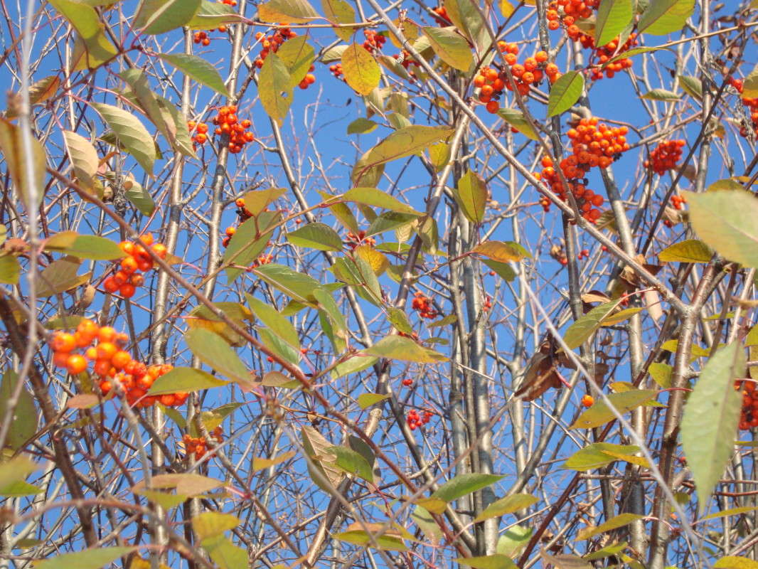 ... ����� �������� ��� �� PhotoGeek.ru #������ ��� ������� #����� ��������������