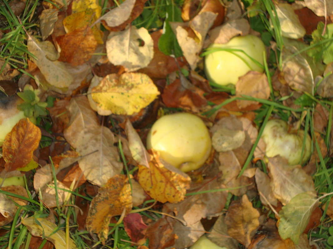 ... ����� �������� ��� �� PhotoGeek.ru #������ ��� ������� #����� ��������������