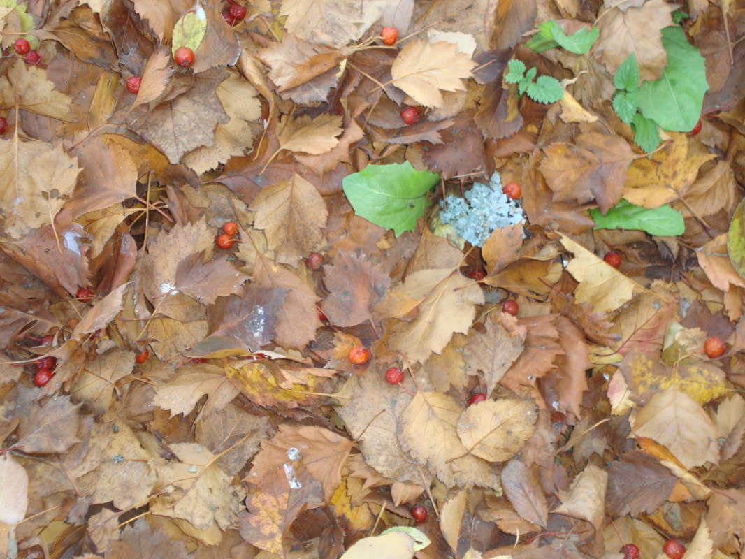 ... ����� �������� ��� �� PhotoGeek.ru #������ ��� ������� #����� ��������������