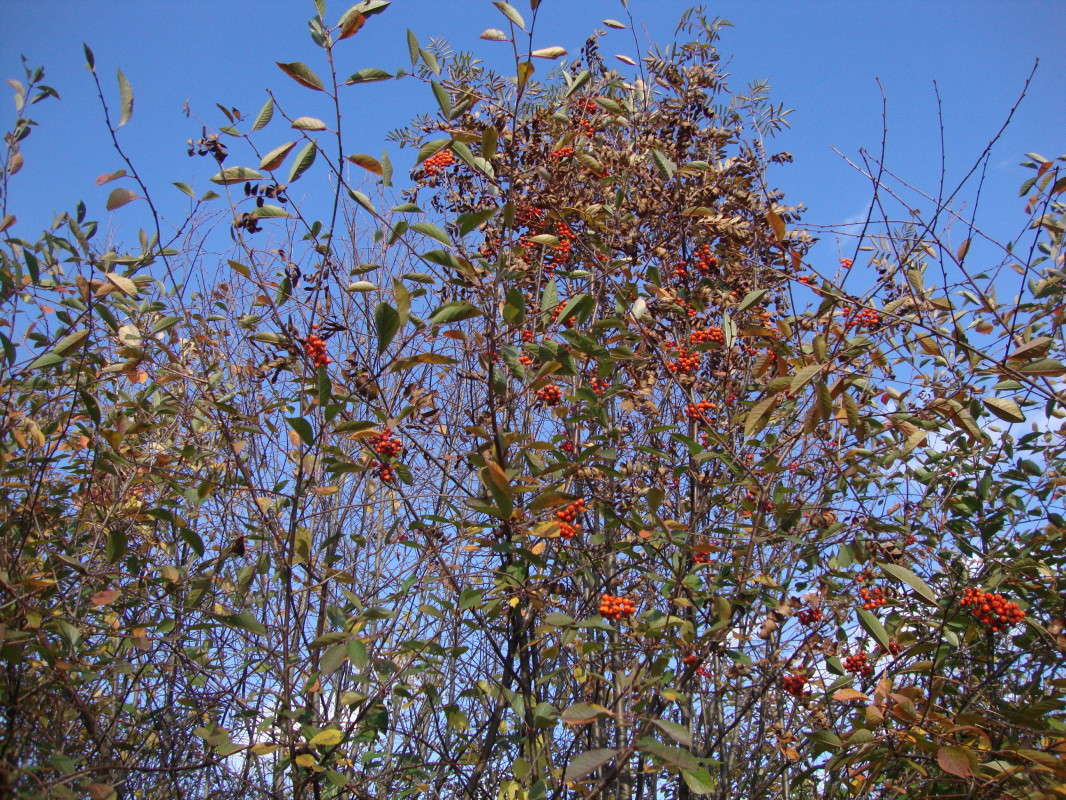 ... ����� �������� ��� �� PhotoGeek.ru #������ ��� ������� #����� ��������������