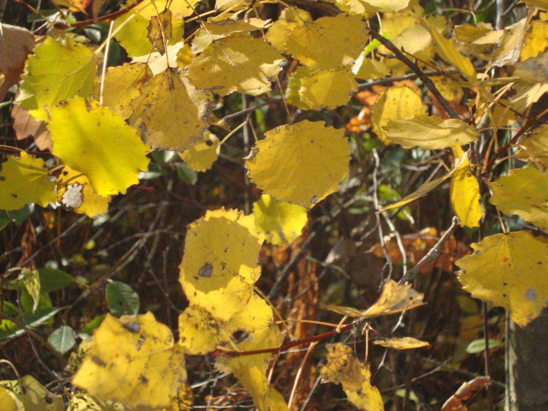 ... ����� �������� ��� �� PhotoGeek.ru #������ ��� ������� #����� ��������������