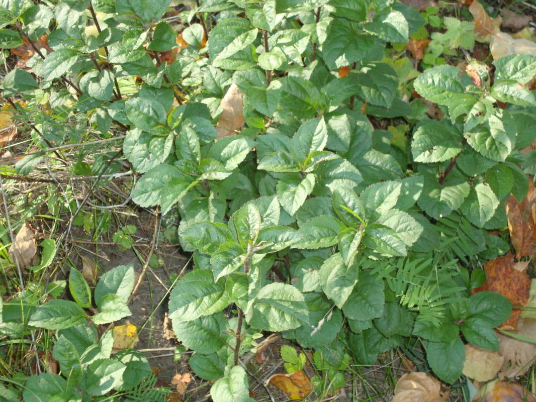 ... ����� �������� ��� �� PhotoGeek.ru #������ ��� ������� #����� ��������������