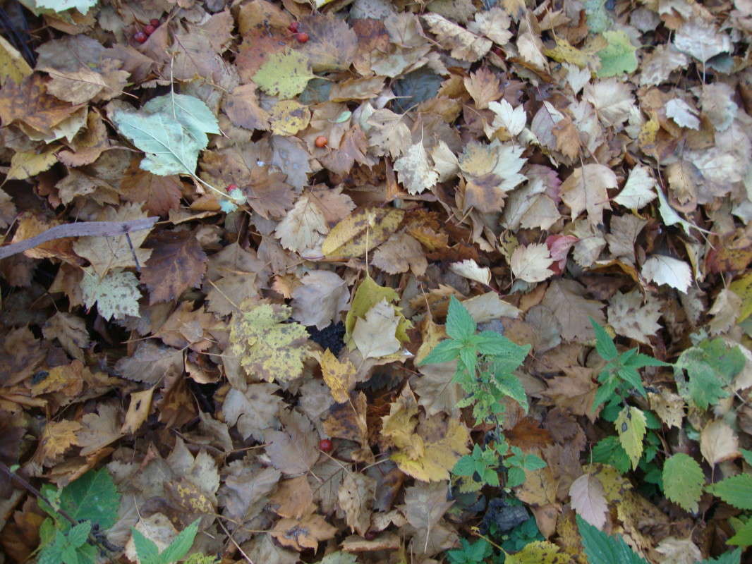 ... ����� �������� ��� �� PhotoGeek.ru #������ ��� ������� #����� ��������������