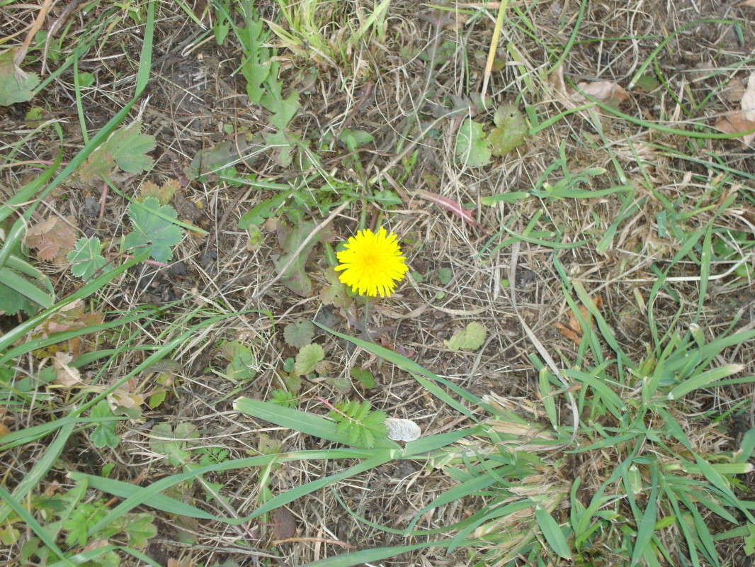 ... ����� �������� ��� �� PhotoGeek.ru #������ ��� ������� #����� ��������������