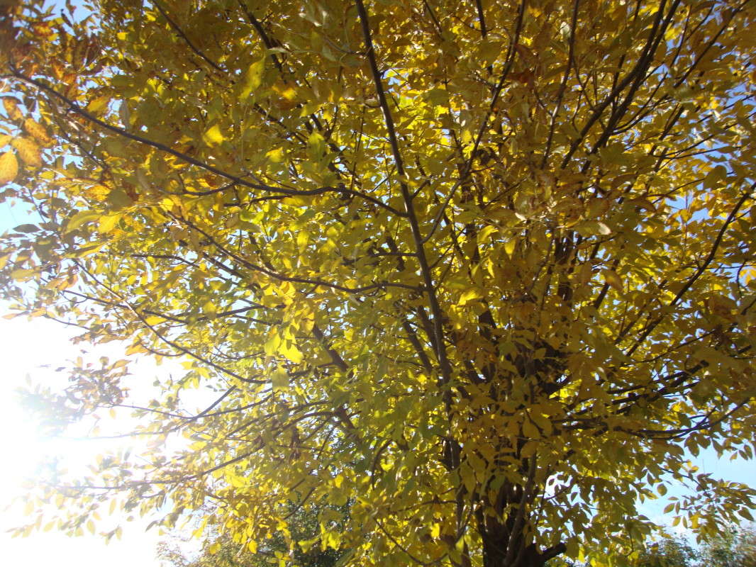 ... ����� �������� ��� �� PhotoGeek.ru #������ ��� ������� #����� ��������������