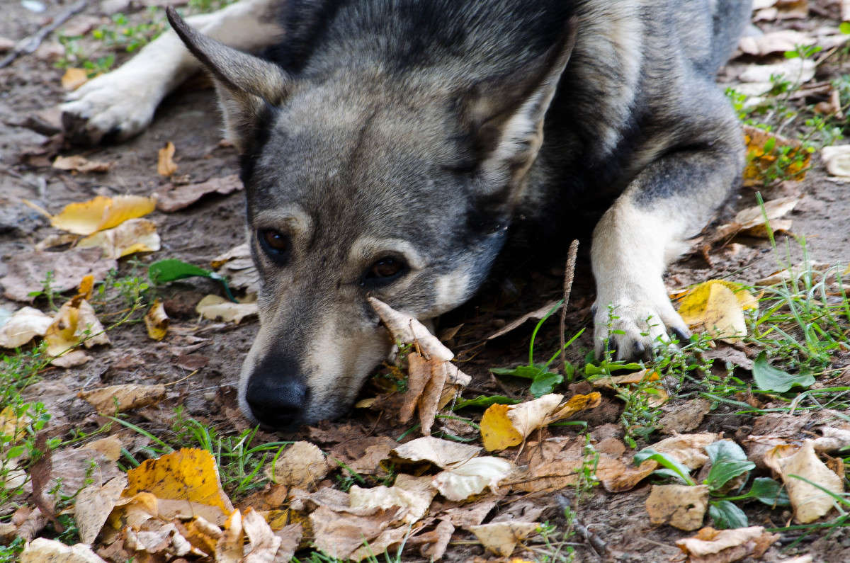 ������� ������ ����� ������  �� PhotoGeek.ru #�������� ��� #�������