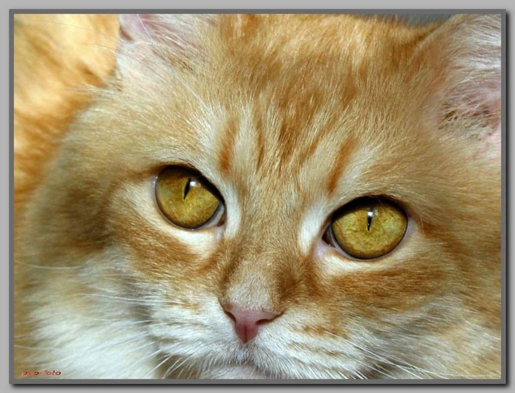 ����� ������ ����� ��������  �� PhotoGeek.ru #�������� ���