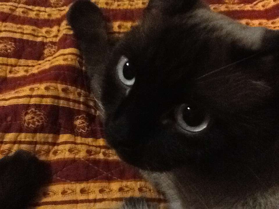 ��� ���� ����� Muamsar Eliseev �� PhotoGeek.ru #�������