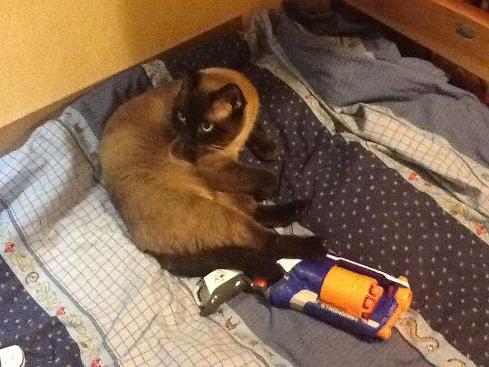  ����� Muamsar Eliseev �� PhotoGeek.ru