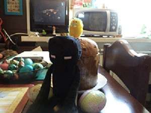 ����� ����� Muamsar Eliseev �� PhotoGeek.ru #�������