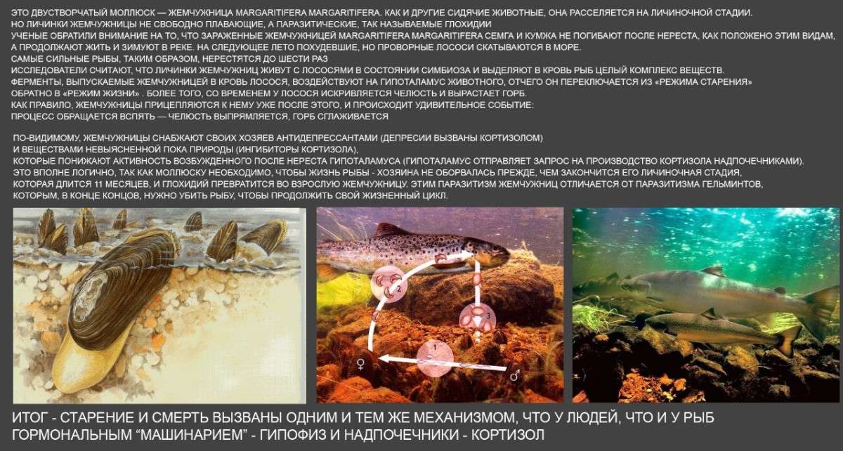 ... ����� PROTEIN INSIDER INSIDER �� PhotoGeek.ru #�������