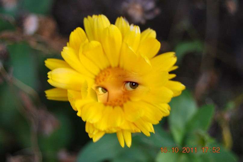 �� ��� ������... ����� ������  �� PhotoGeek.ru #����