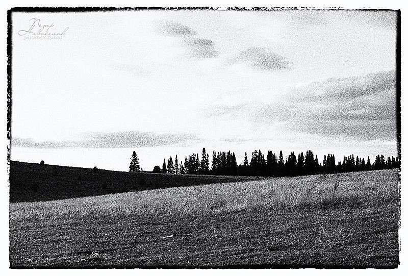 �������� ����� Petr Novoselov �� PhotoGeek.ru #������ ��� ������� #�����-�����