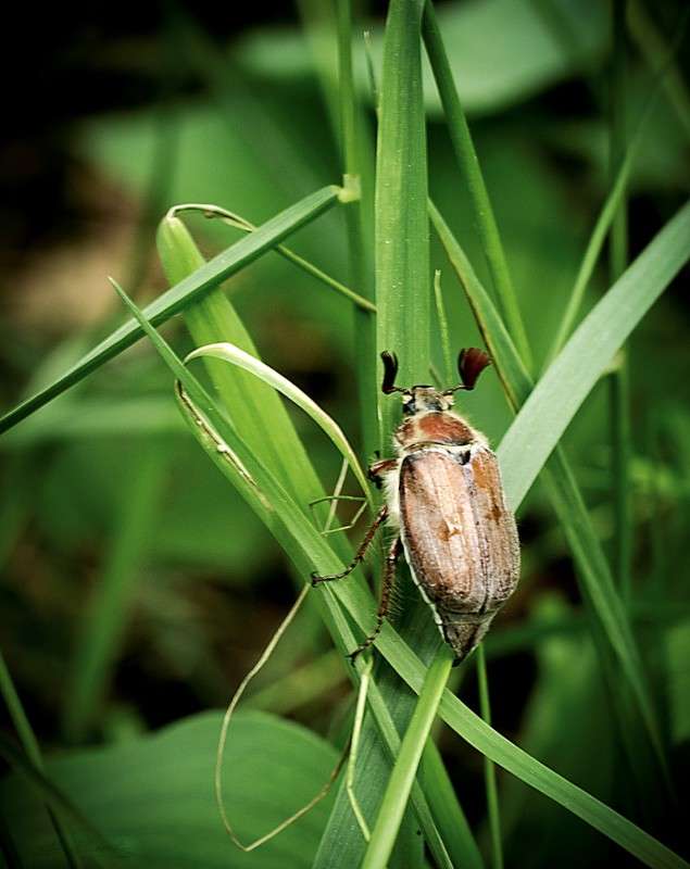 ... ����� �����  �� PhotoGeek.ru #����� #�������� ��� #������ ��� �������