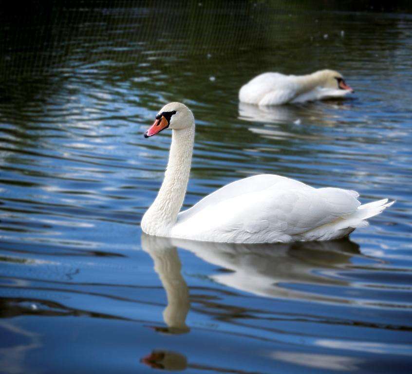 ��������� ����� ����� �����  �� PhotoGeek.ru #����� #�������� ��� #������ ��� �������