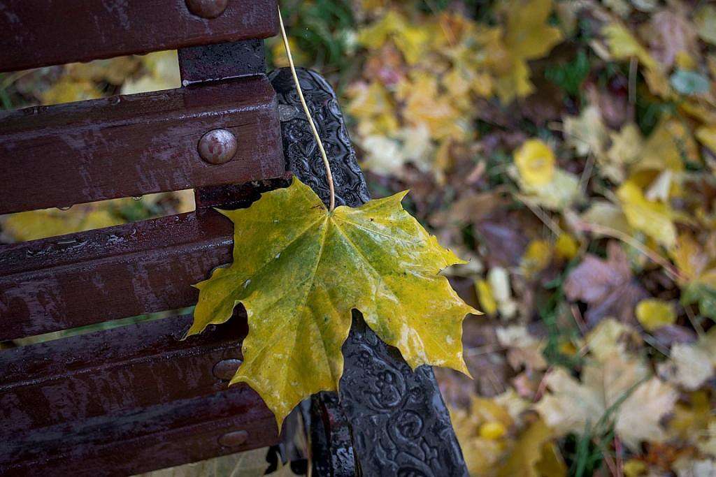 ����� ����� �����  �� PhotoGeek.ru #������ ��� �������