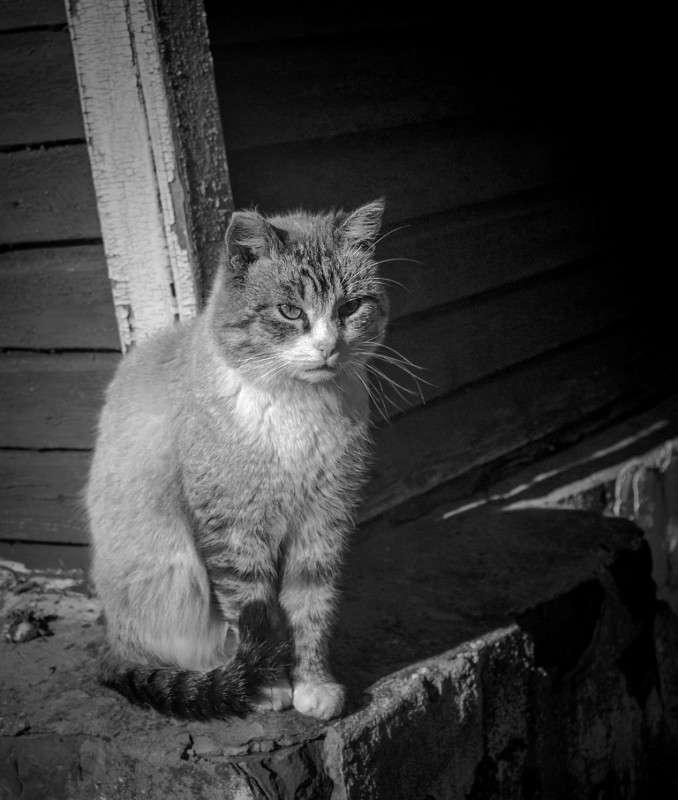 ������� ����� �����  �� PhotoGeek.ru #�������� ���