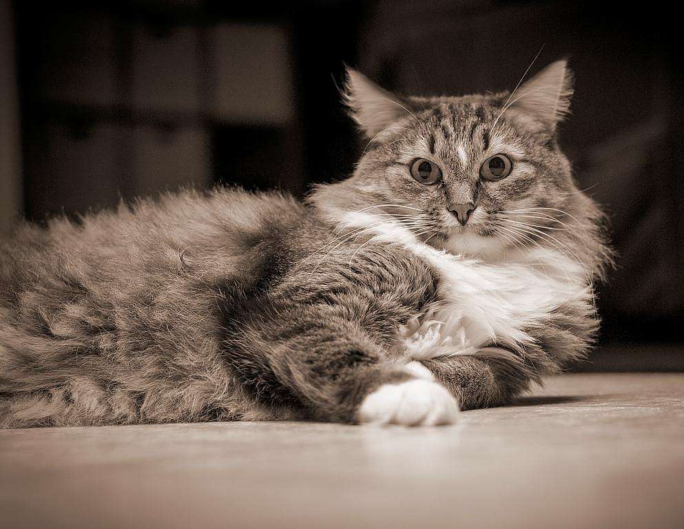 ... �� �����..... ����� �����  �� PhotoGeek.ru #�������� ���