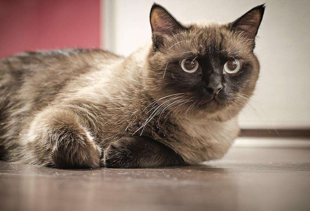 **** ����� �����  �� PhotoGeek.ru #�������� ���