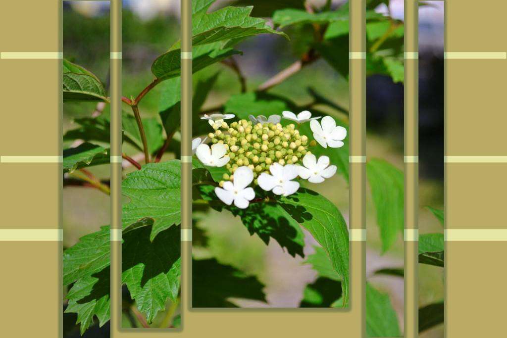 *** ����� �����  �� PhotoGeek.ru #������