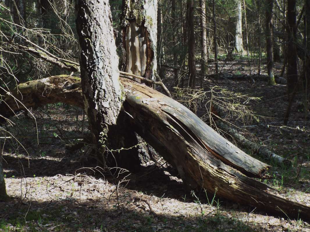 Everything flows ����� ������ ����  �� PhotoGeek.ru #Пейзаж или природа