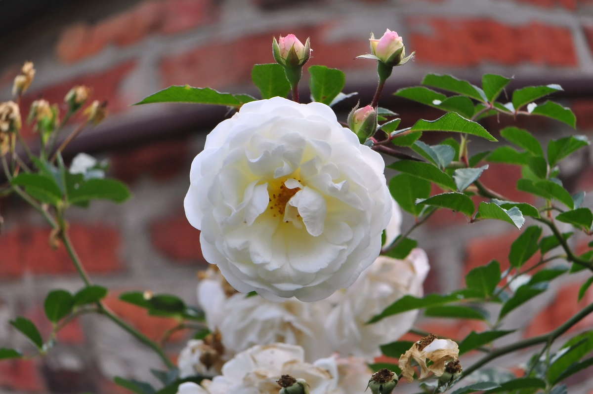 ������� �����������. ����� ������ �������� �� PhotoGeek.ru #������ ��� �������