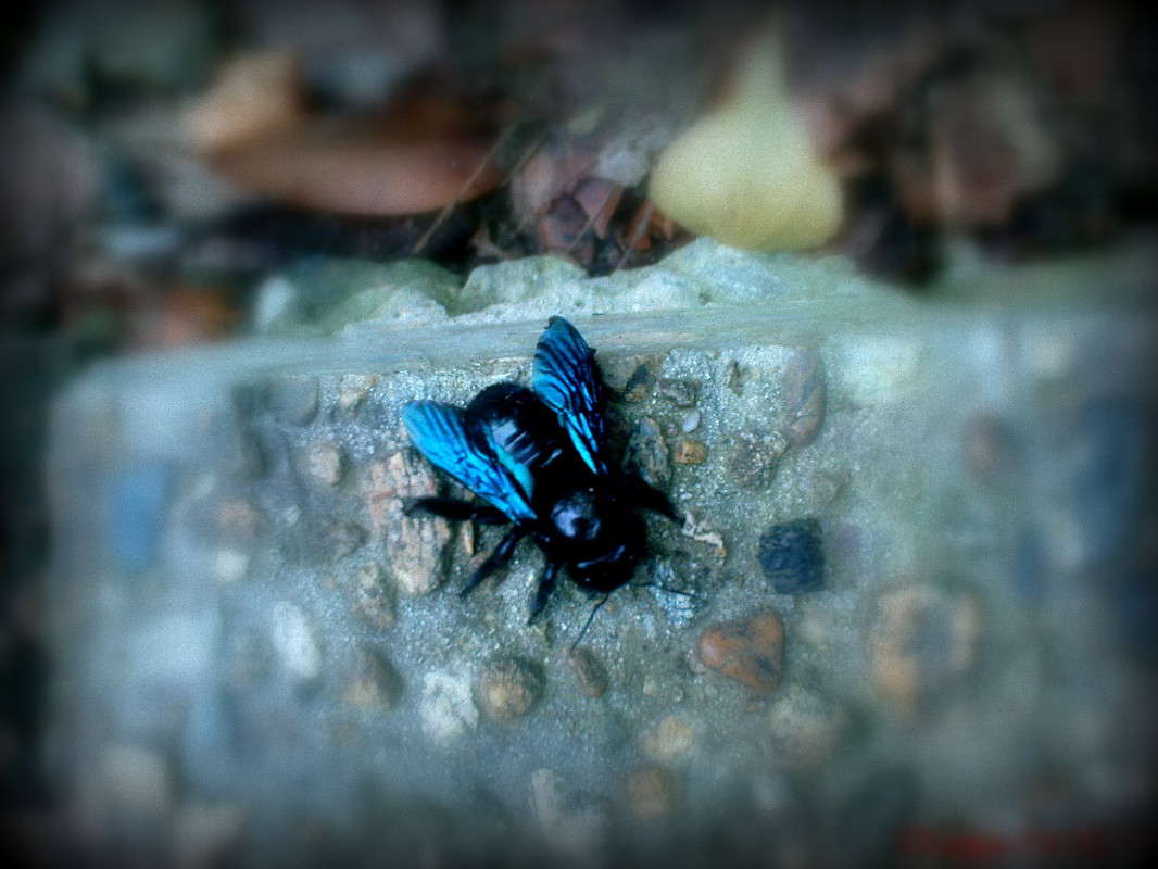 �����-������� ����� ������� �������� �� PhotoGeek.ru #����� #���������