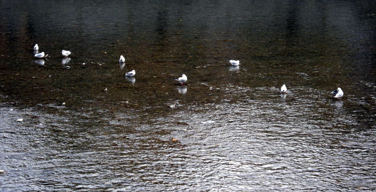 ����� ����� ������� �������� �� PhotoGeek.ru #�������� ���