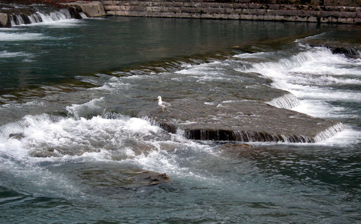 ����� ����� ������� �������� �� PhotoGeek.ru #�������� ���