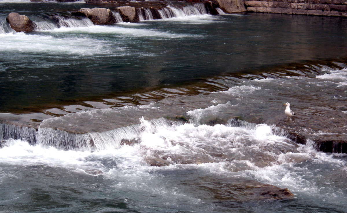 ... ����� ������� �������� �� PhotoGeek.ru #������ ��� �������