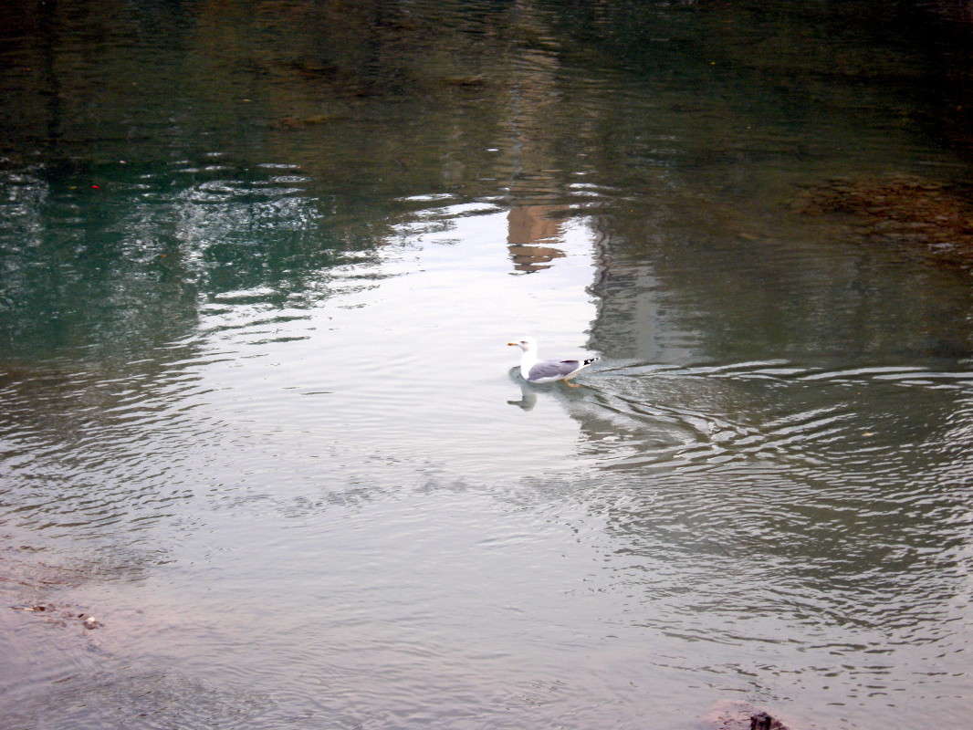 ������ ����� ������� �������� �� PhotoGeek.ru #�������� ���