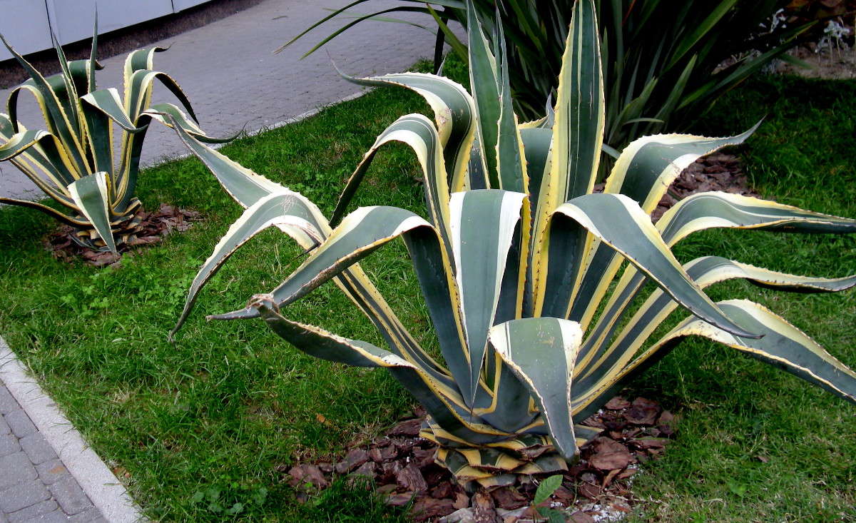 ����� ����� ������� �������� �� PhotoGeek.ru #����� #����� ��������������