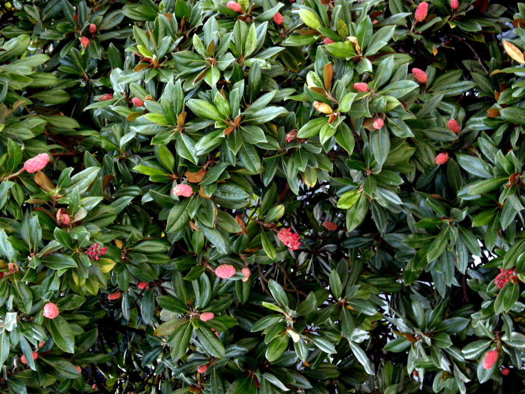 ... ����� ������� �������� �� PhotoGeek.ru #��������� ������ #����� ��������������