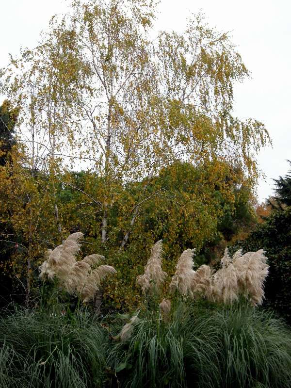 ���!����� �������! ����� ������� �������� �� PhotoGeek.ru #������ ��� �������