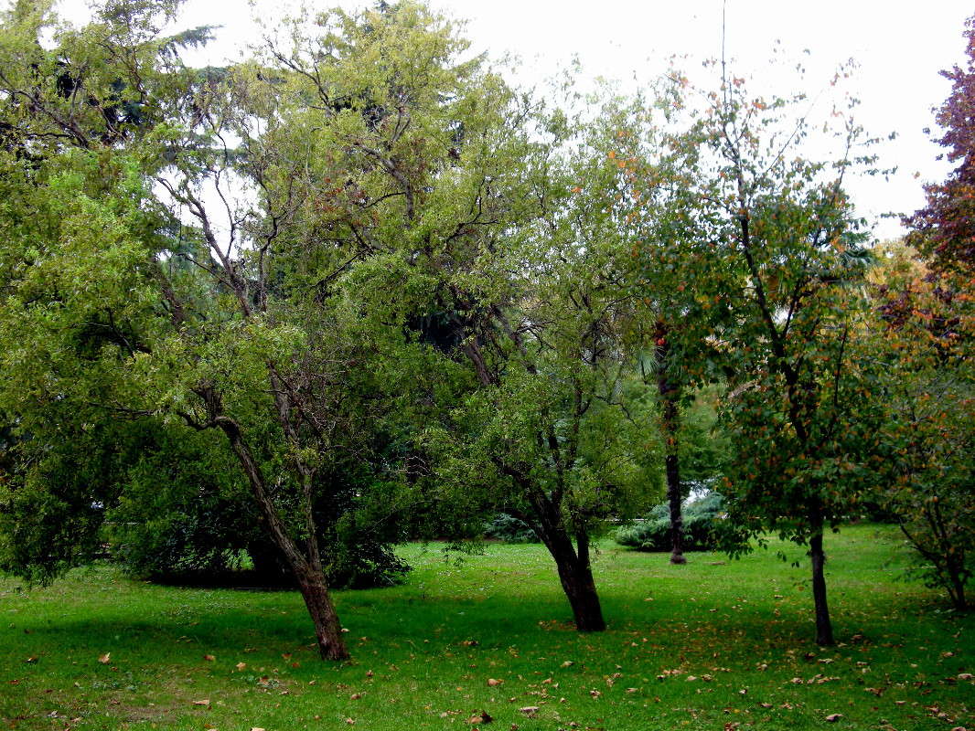 ������ ����� ������� �������� �� PhotoGeek.ru #������ ��� �������