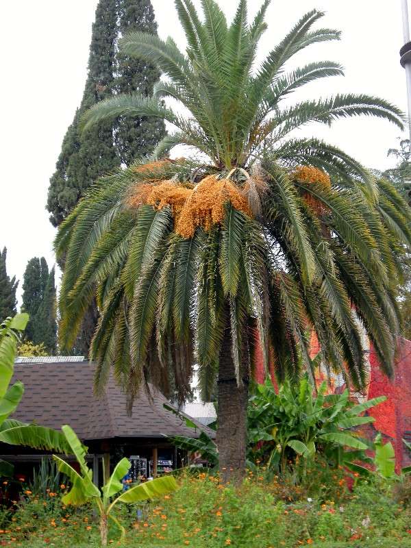 ������ ����� ������� �������� �� PhotoGeek.ru #��������� ������