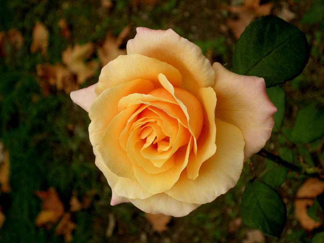 ����(2) ����� ������� �������� �� PhotoGeek.ru #����� ��������������