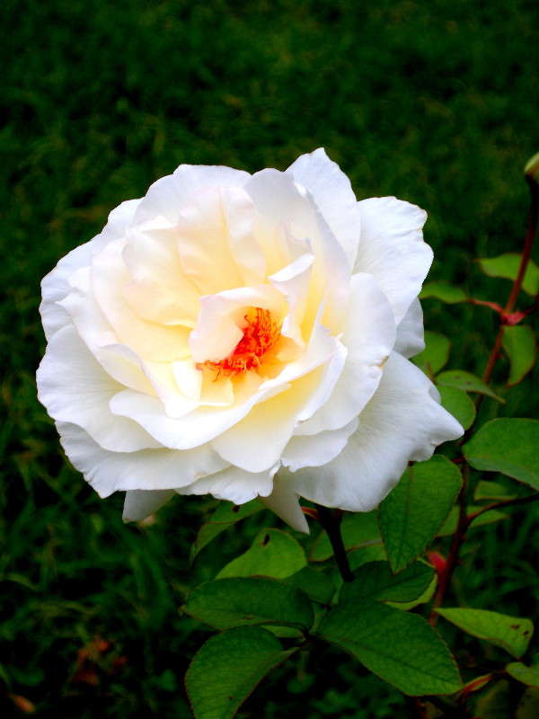 ����� ���� ����� ������� �������� �� PhotoGeek.ru #����� ��������������