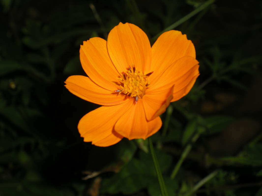 ... ����� ������� �������� �� PhotoGeek.ru #����� ��������������