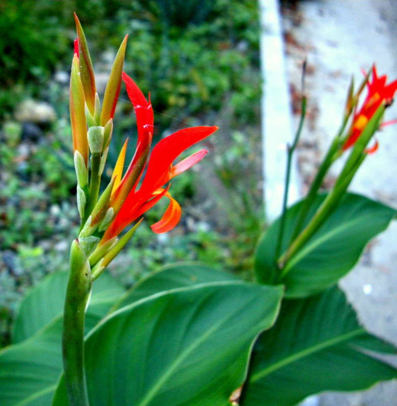 ... ����� ������� �������� �� PhotoGeek.ru #����� ��������������