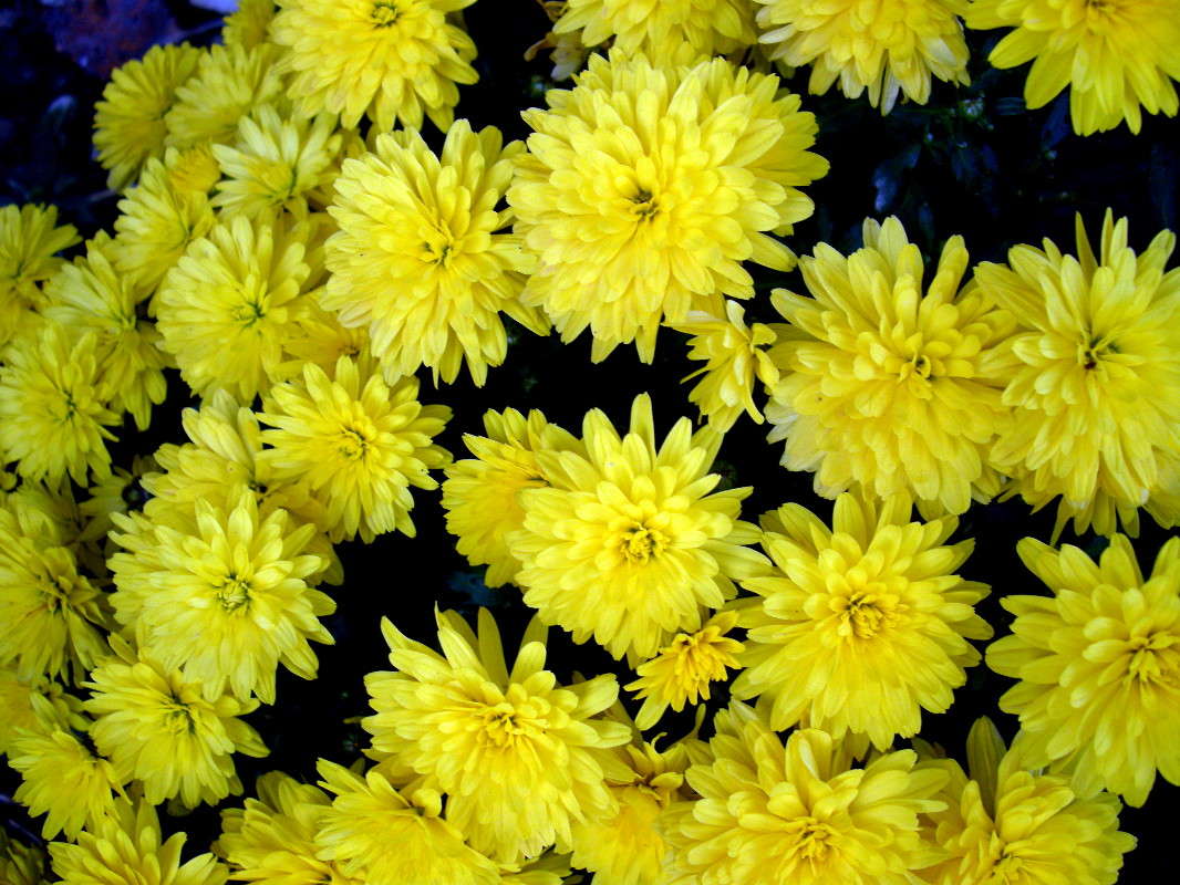 ... ����� ������� �������� �� PhotoGeek.ru #����� ��������������