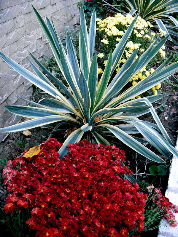 ... ����� ������� �������� �� PhotoGeek.ru #����� ��������������