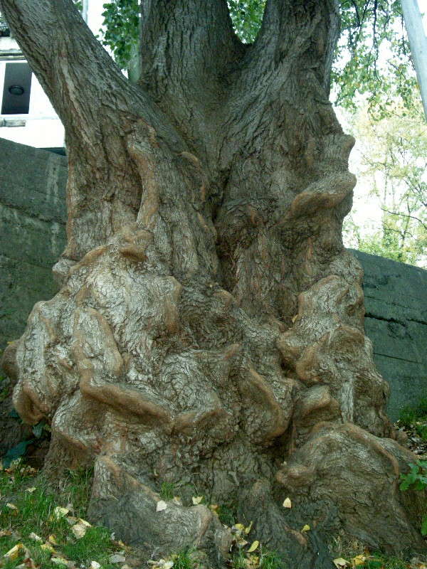 ����� ������! ����� ������� �������� �� PhotoGeek.ru #����� ��������������