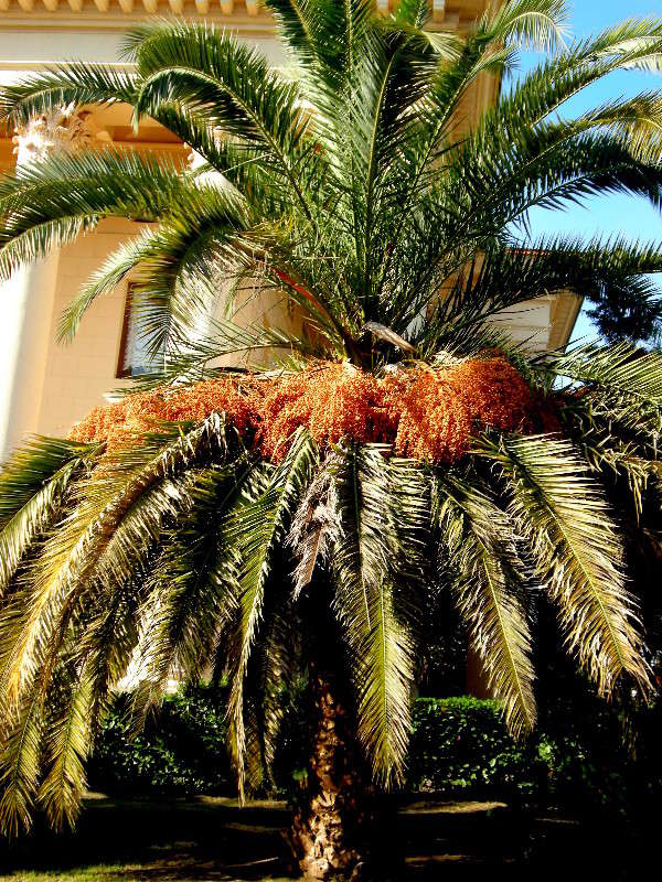 ��������� ������ ����� ������� �������� �� PhotoGeek.ru #����� ��������������