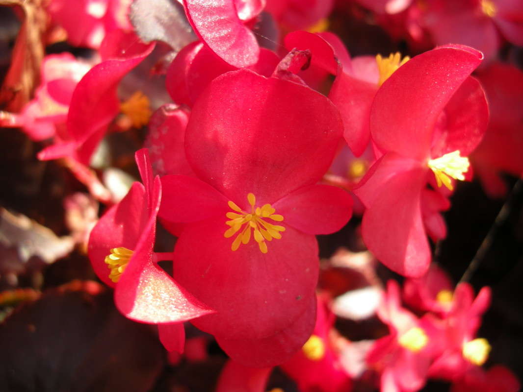 ... ����� ������� �������� �� PhotoGeek.ru #����� ��������������